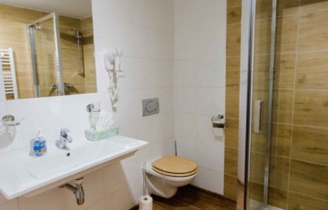 trojluzkove-pokoje-koupelna